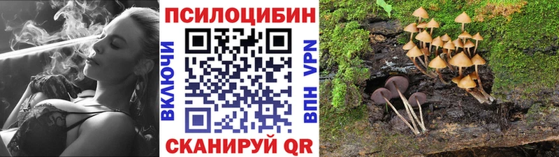 Псилоцибиновые грибы мицелий  Купить  Ленинск 
